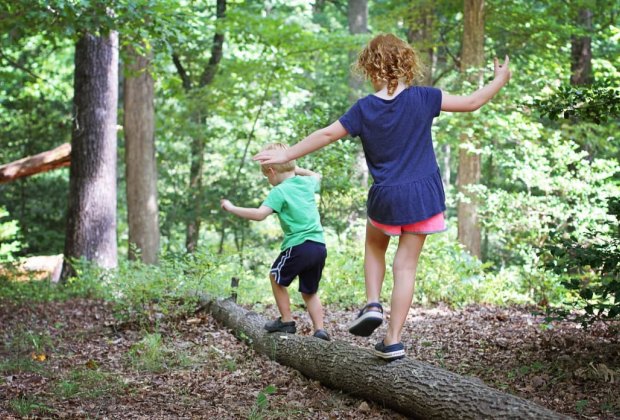 40 Fun Things To Do in the Shenandoah Valley with Kids Hiking the forests of the Shenandoah Valley. Photo courtesy of Virginia State Parks