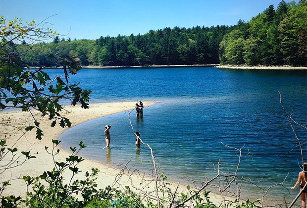Things To Do In Westchester Today >> Everything You Need to Know About Visiting Walden Pond With Kids | Mommy Poppins - Things To Do ... Things To Do In Westchester Today >> Everything You Need to Know About Visiting Walden Pond With Kids | Mommy Poppins - Things To Do ...
