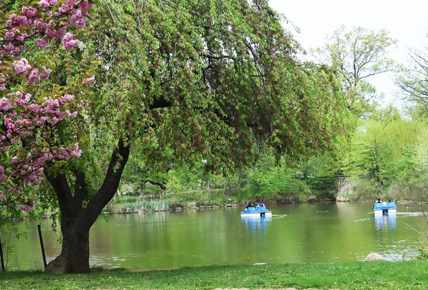 Warinanco Park : 100 Free Things to Do in NJ with Kids