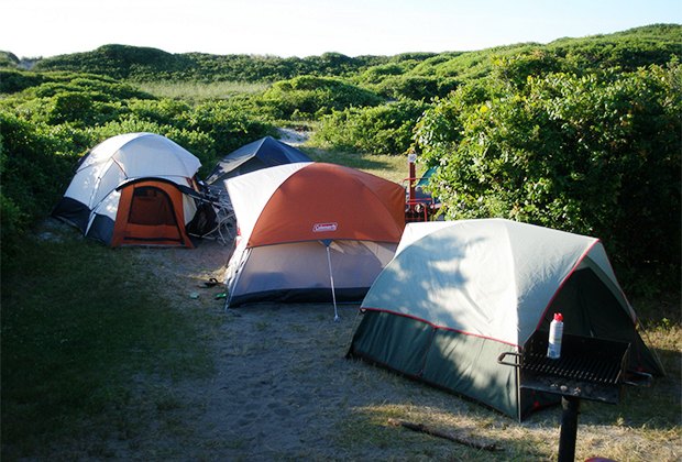 are dogs allowed at hither hills campground