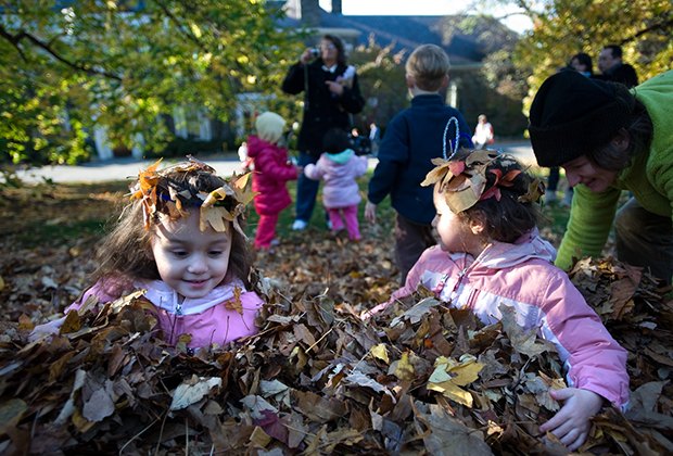 Free Times To Visit Nyc Museums Gardens And Zoos Mommy