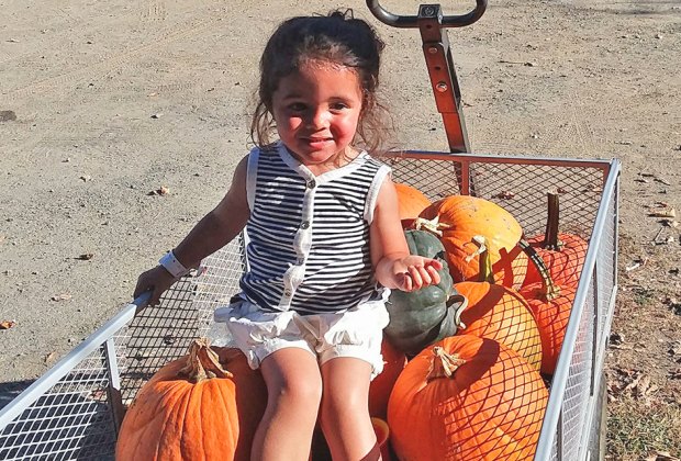 Pumpkin patches near Westchester Hurds Family Farm