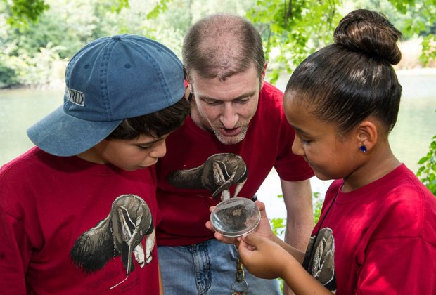 16++ Free summer camps 2019 bronx Equitment