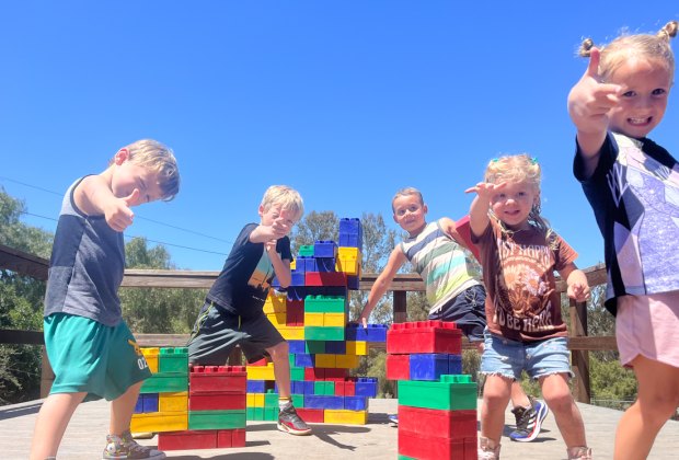 Adventure Playground: climb a tree fort to reach giant LEGO bricks