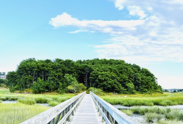 Photo of Wellfleet Wildlife Sanctuary on Cape Cod.