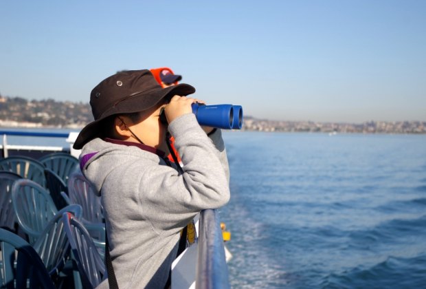 Whale Watching near Los Angeles: While you probably won't need binoculars to see whales, they're awfully fun!