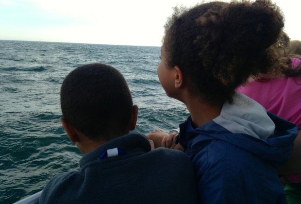 Taking a Whale Watch Cruise from Boston with Kids