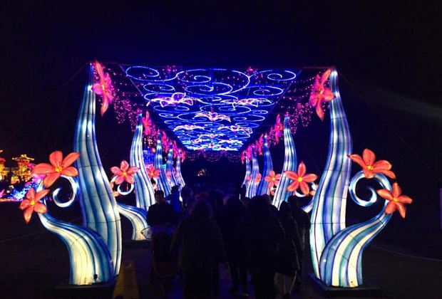 4 Holiday Lantern Shows Coming to NYC This Season | MommyPoppins ...