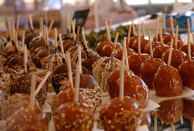 Things To Do in Williamsburg, VA with Kids: Rows and rows of candy apples at Wythe Candy & Gourmet Shop