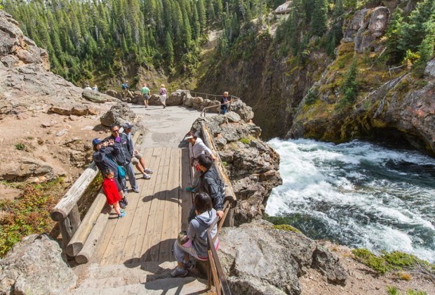 Ultimate Road Trip Planner: How to Have the Perfect Family Road Trip: Grand Canyon of the Yellowstone's Upper Falls.