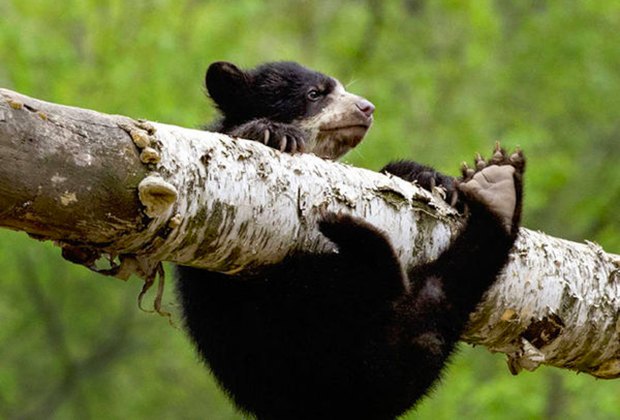 Queens Zoo: Full of Surprises for Little and Big Kids