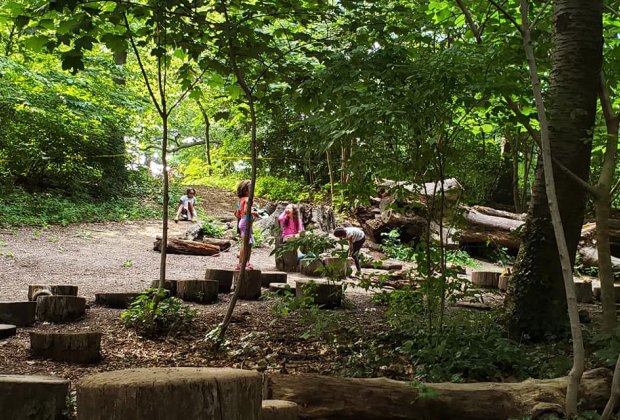 The Zucker Natural Exploration Area is in the shade