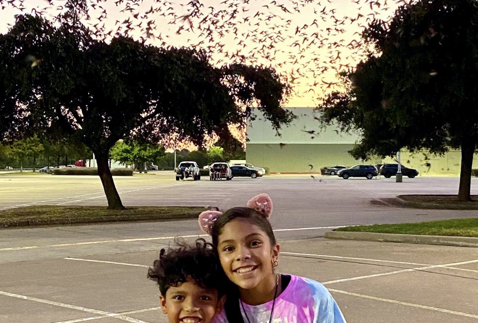 Purple Martin Watch Party with the Houston Audubon