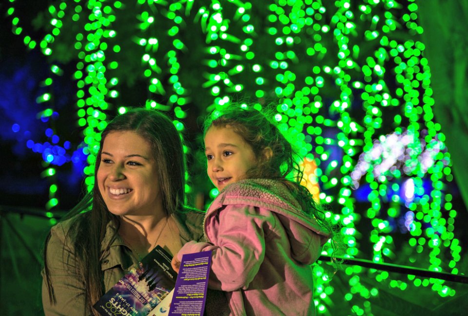 Holiday lights at the Los Angeles Zoo. Photo by Jamie Pham