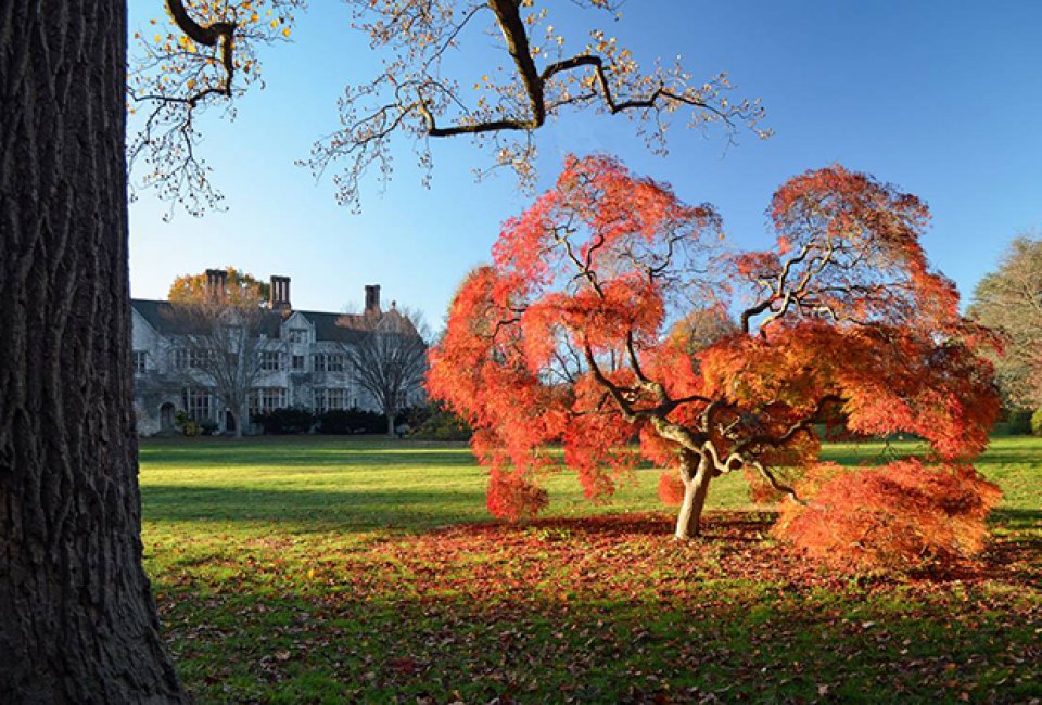 Best Parks in Nassau County for Long Island Kids