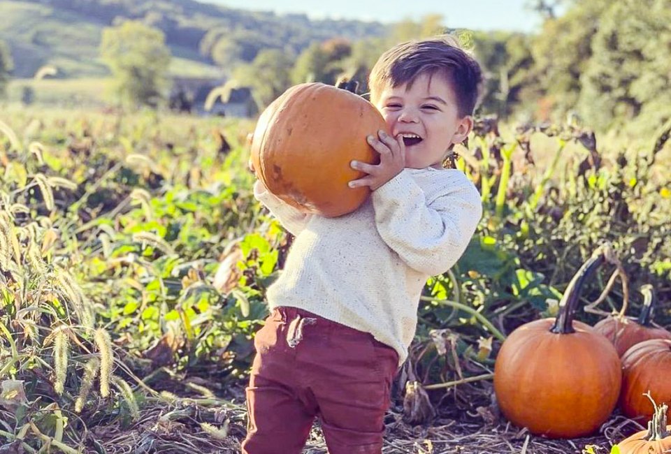 Pick the perfect pumpkin at Great Country Farms.