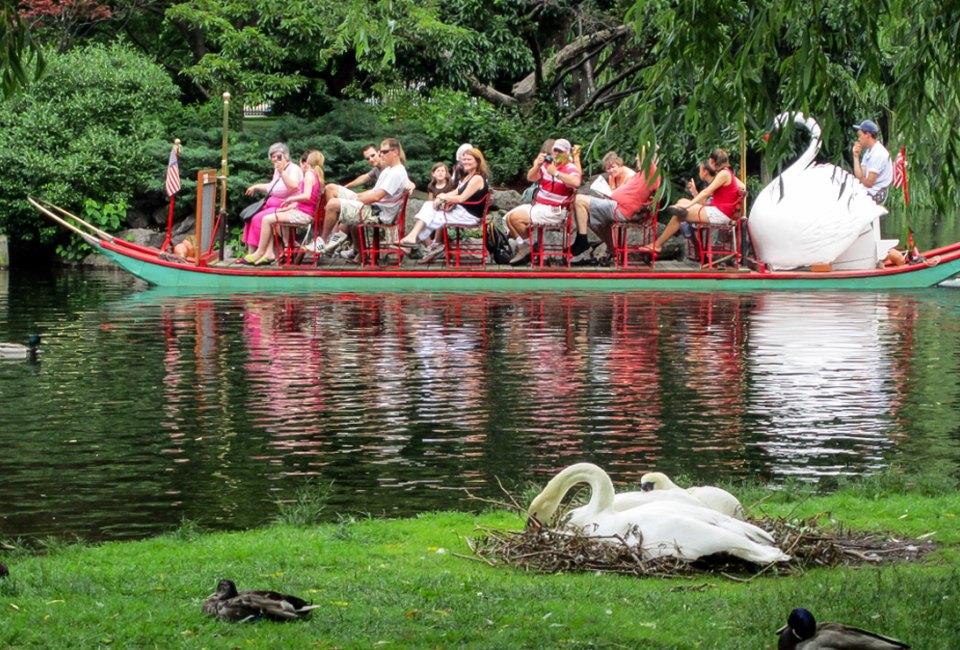 The Swan Boats have long been a Boston spring activity for kids. Photo courtesy of swanboats.com