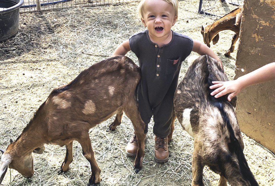 Meet the goats at Gilchrist Farms. Tip: it's more fun when you wear cute boots. Photo courtesy of the farm