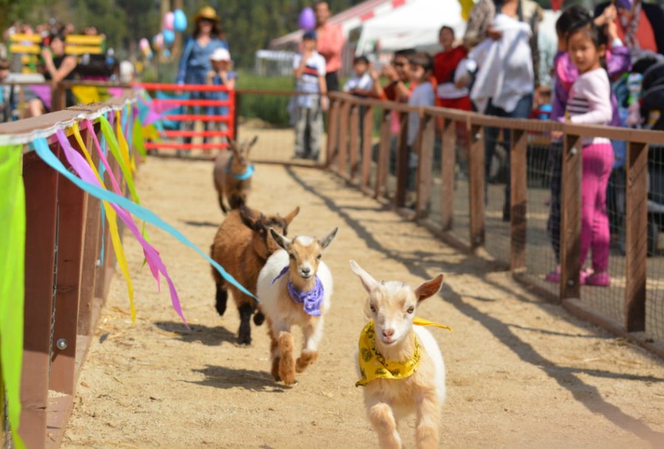 Underwood Farms Springtime Easter Festival 2025
