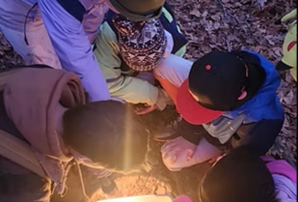 Nighttime Wonders with Woodcock Nature Center