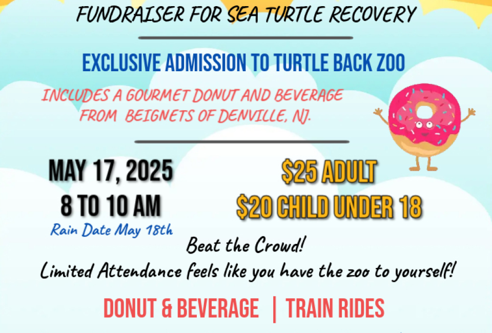 Sea Turtle Sunrise Event 2025 at Turtle Back Zoo