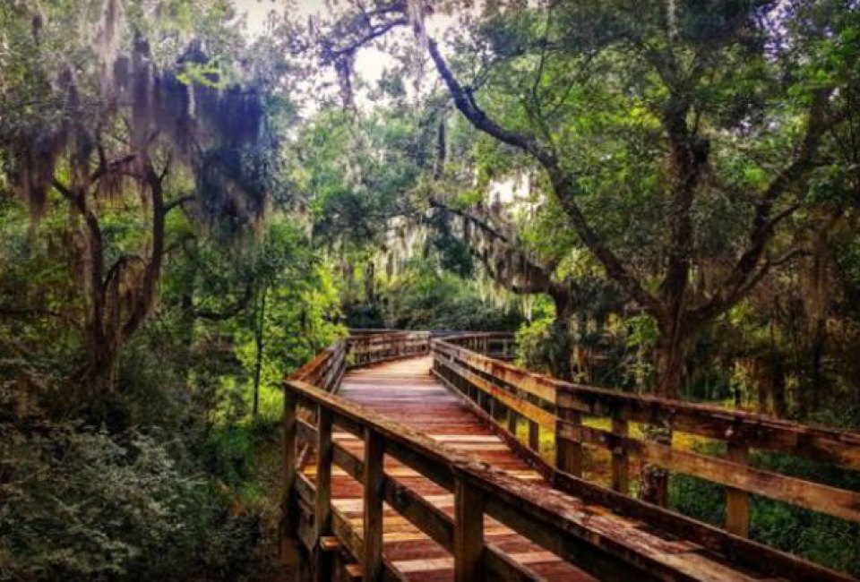 Hike through scenic wetlands at Challenger Seven Memorial Park.