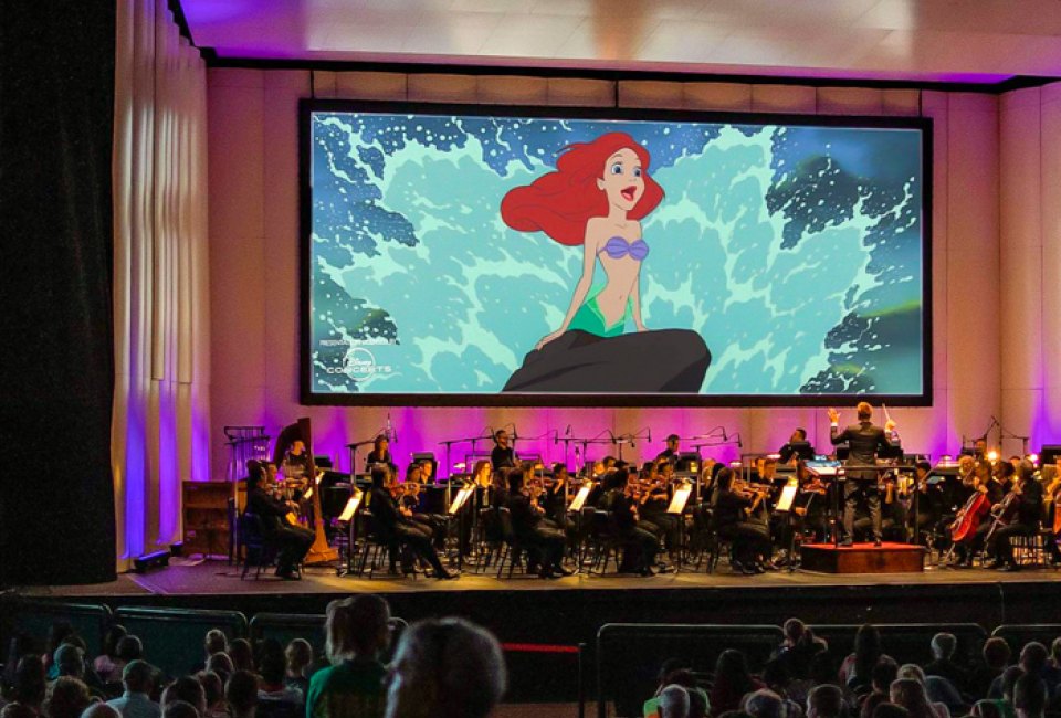 Photo courtesy of the Cynthia Woods Mitchell Pavillion Houston