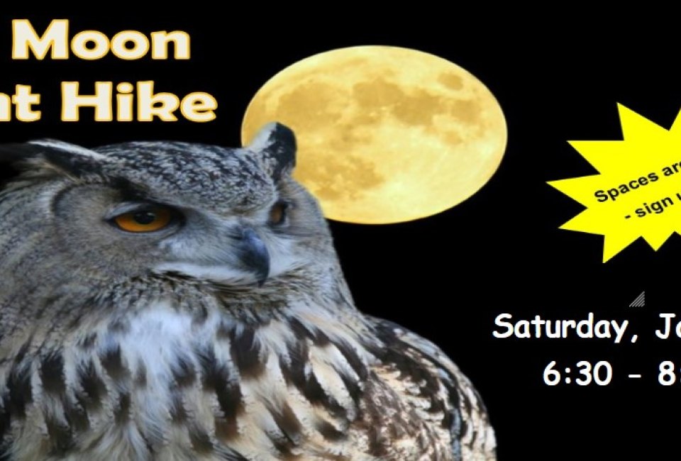New Canaan Nature Center's Owl Moon Night Hike