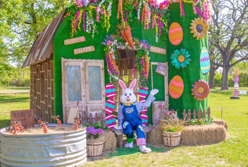 Easter Farm Days at P-6 Farms | Mommy Poppins - Things To Do in Houston ...