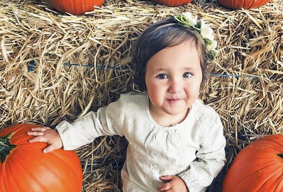 Take the kids out to pumpkin patches near Boston for family fun thus fall! Photo courtesy of Smolak Farm