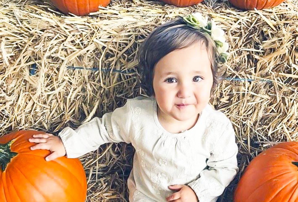 Take the kids out to pumpkin patches near Boston for family fun thus fall! Photo courtesy of Smolak Farm