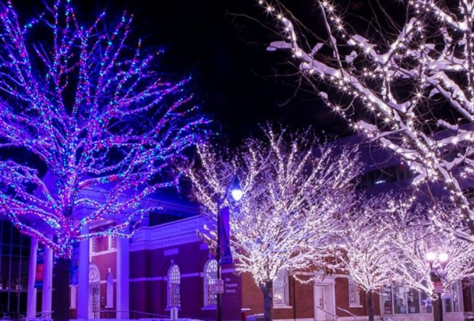 A new holiday lights tradition has sparkled at Mill River Park. Photo courtesy of Stamford-downtown.com
