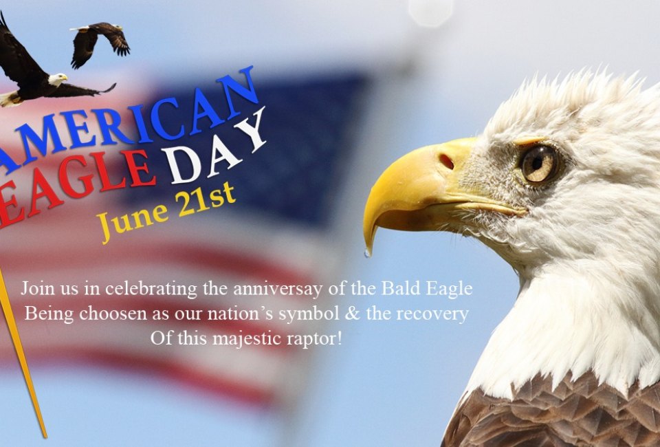 American Eagle Day at Avian Reconditioning Center