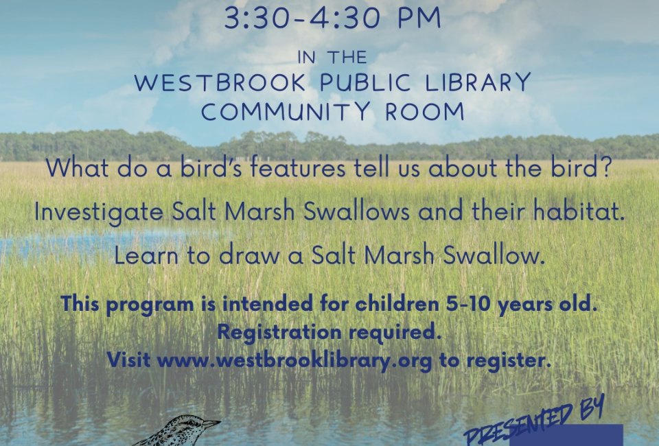 Birds Eye View with Westbrook Public Library