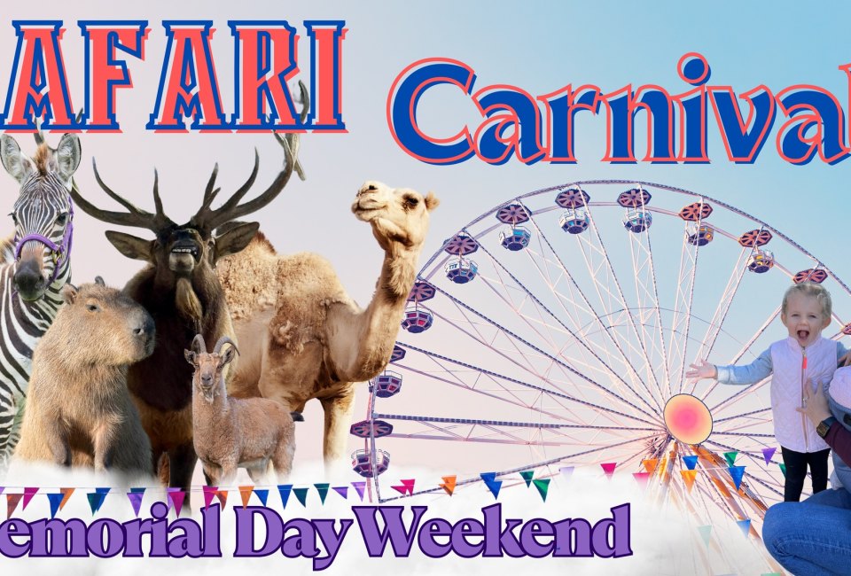 Safari Carnival at Action Wildlife