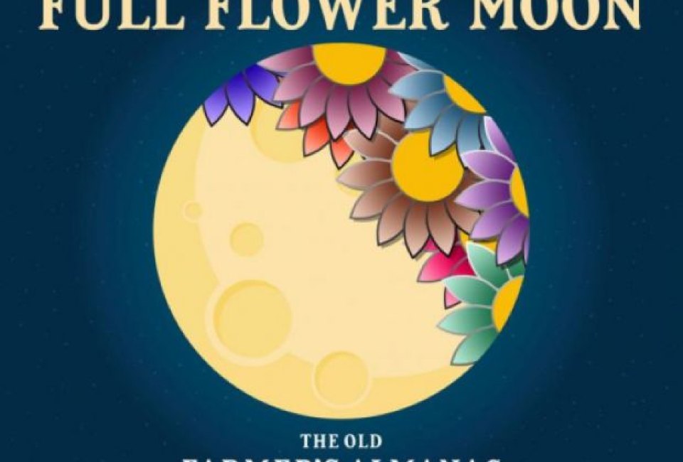 Full Flower Moon Hike at Northwest Park