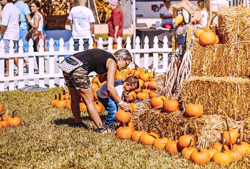 Pick out the best gourd at the Boca Pumpkin Patch Festival. Photo courtesy of the festival