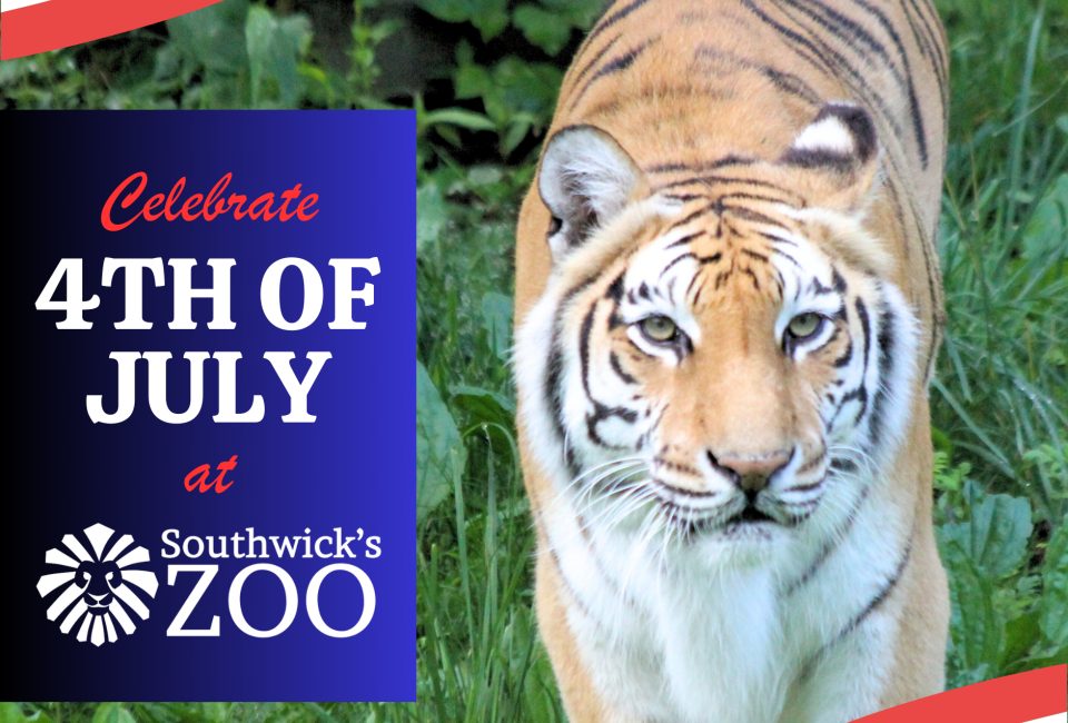 4th of july bronx zoo