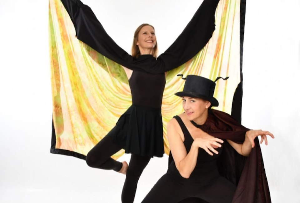 Dance Of The Insects Presented By Young Audiences Of Houston at Miller Outdoor Theatre