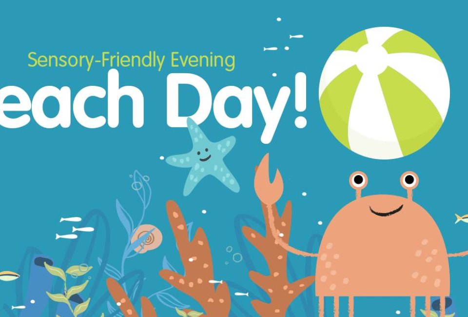 Sensory Friendly Evening: Beach Day Niantic Children's Museum