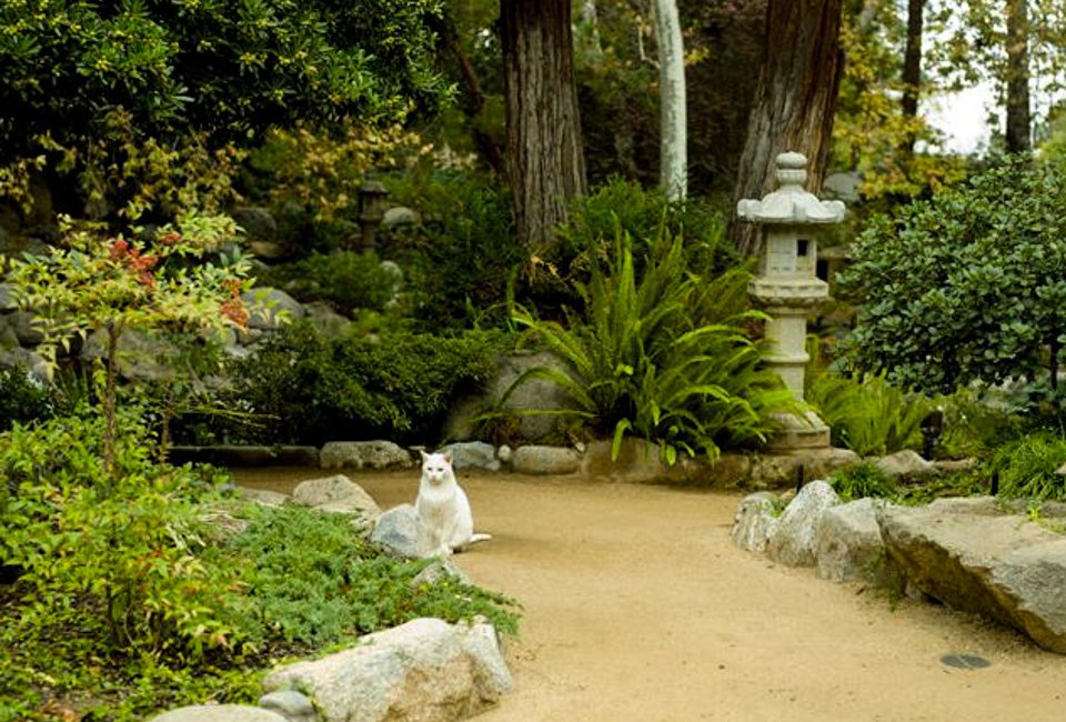 Fun Things To Do in Los Angeles this Winter Break: Storrier Stearns Japanese Gardens