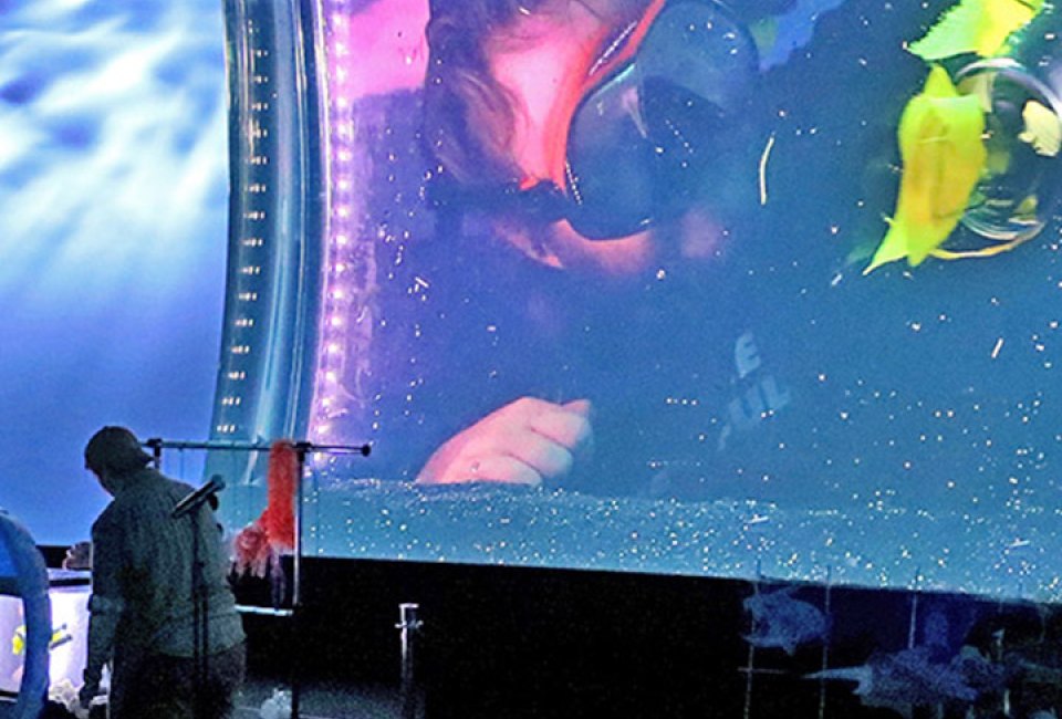 Long Island Sounds: An Underwater Puppet Show at Stepping Stones Museum
