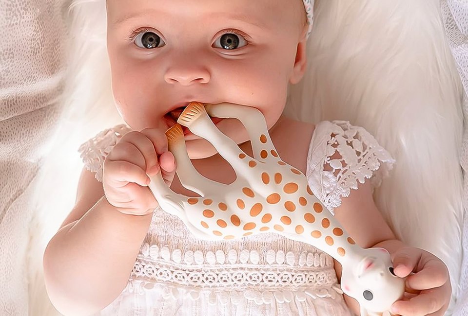 If you only put one chew toy on your registry, it should be Sophie the Giraffe. Photo courtesy of the Vulli Store on Amazon