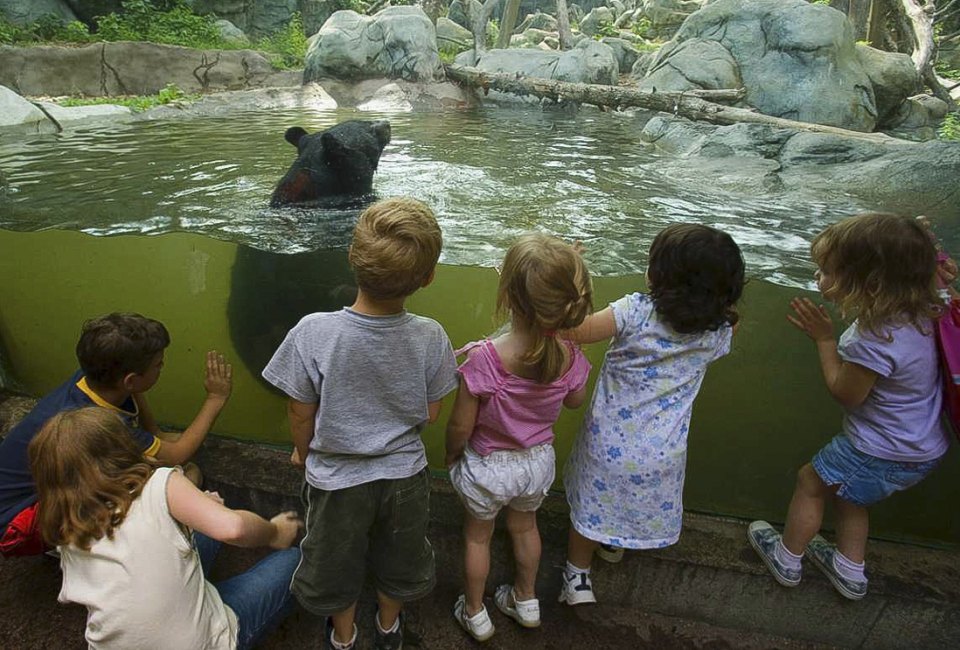 Peek inside a rainforest at Providence's Roger Williams Park Zoo.