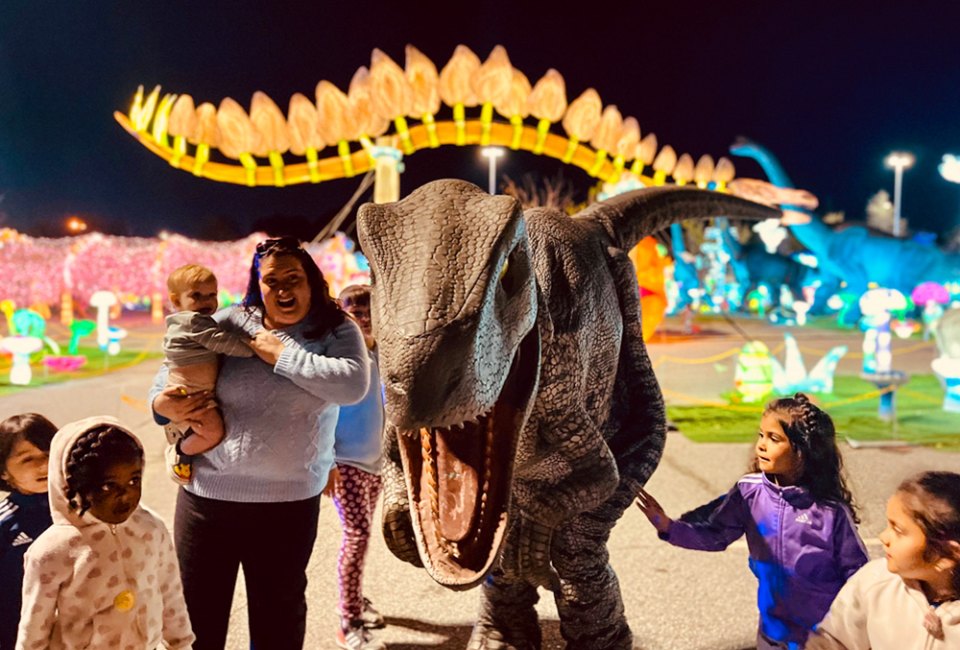 Dino Safari features life-size animatronic dinosaurs, themed rides, interactive experiences, and more.