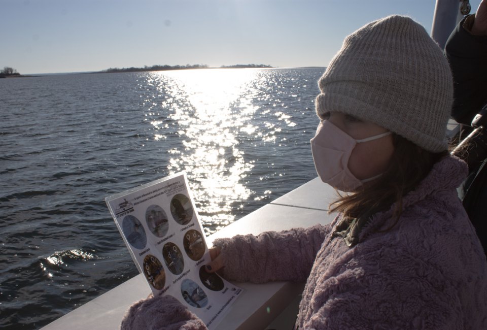 Bundle up and board a winter cruise for some seal-spotting. 