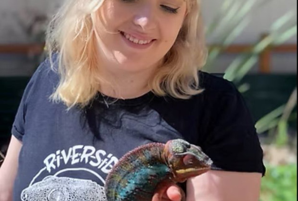Family Paint Night at Riverside Reptiles