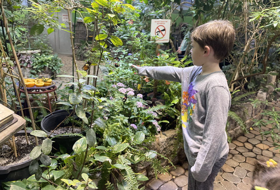 The Long Island Aquarium's Butterfly Garden is a beautiful and warm place to visit during winter break. Photo by Gina Massaro