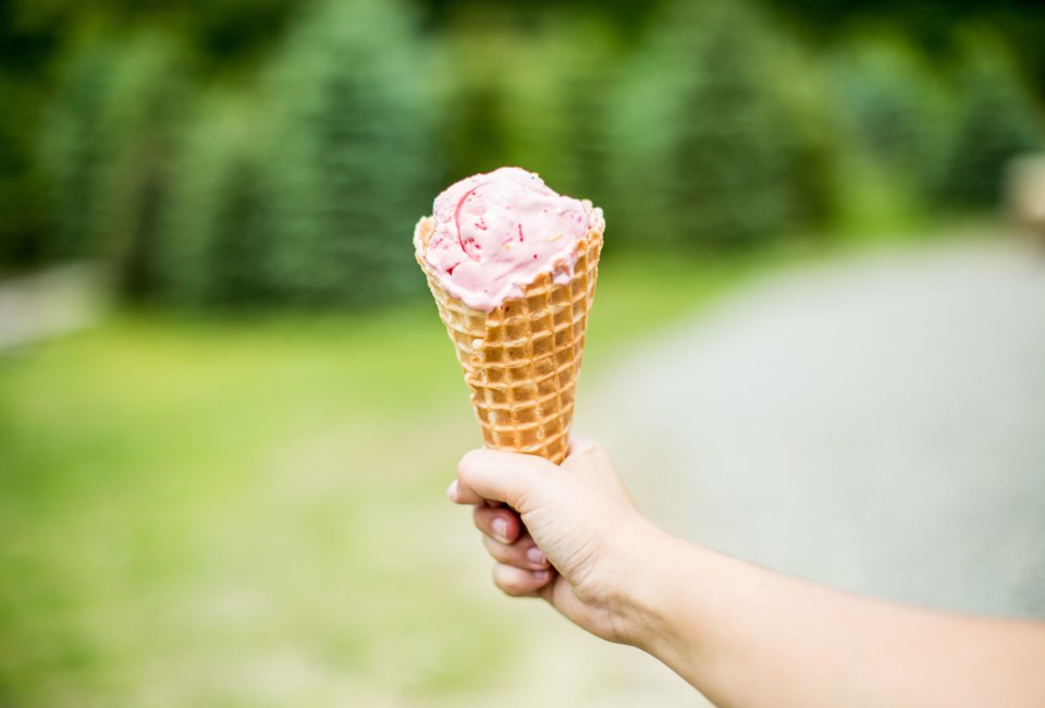 Buttonwood Farms' Ice Cream Stand Opening Day