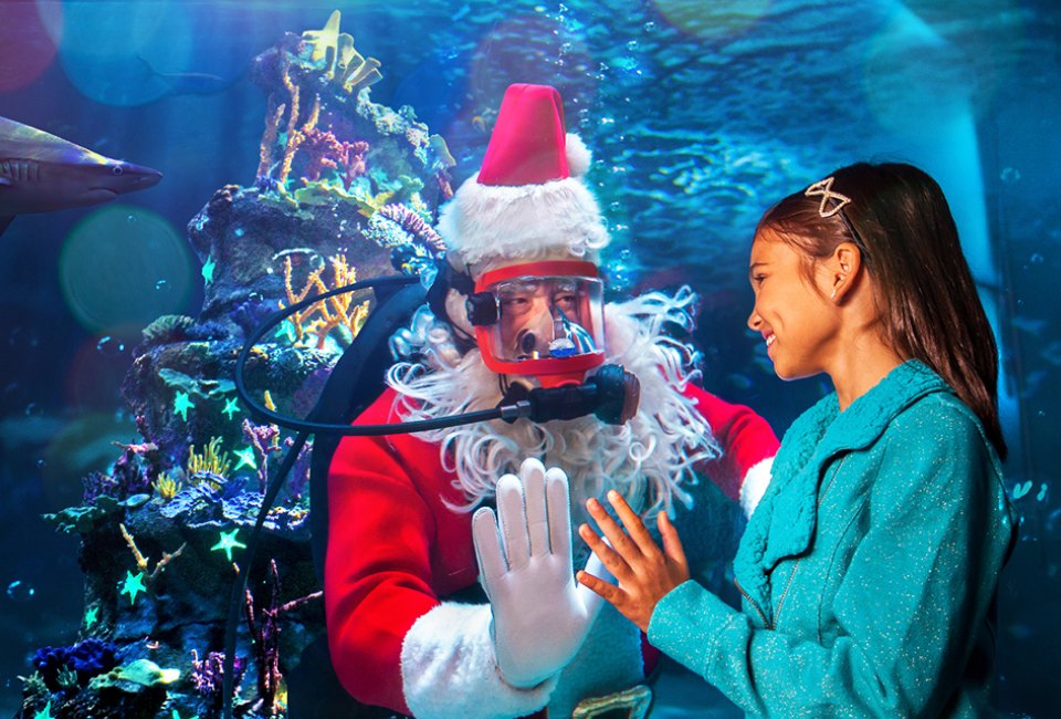 Santa ships out before Christmas Day, but there's still plenty to see at the Adventure Aquarium. Photo courtesy of the aquarium